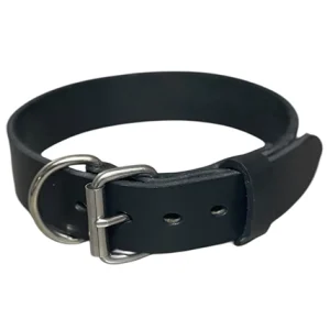 1.5" Leather Dog Collar